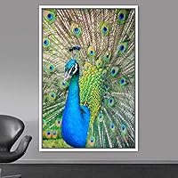 Framed Canvas Wall Art Single Bird Birds Expressive Farmhouse/Country Multicolor Photography Portrait Single - 16x24 inches