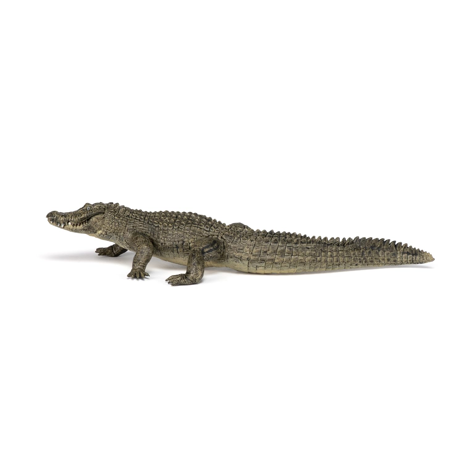 Papo - Realistic Alligator Figure - Ages 3+ - Wild Life Collection - Educational Play Swamp Reptiles - Gift Idea Toy for Girls and Boys - 7.5 in