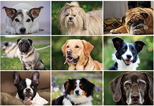 FESOOV Jigsaw Puzzles 500 Pieces for Adults 19 x 13 Inches Pets Paper Board Puzzles for Home Decoration (Dogs)
