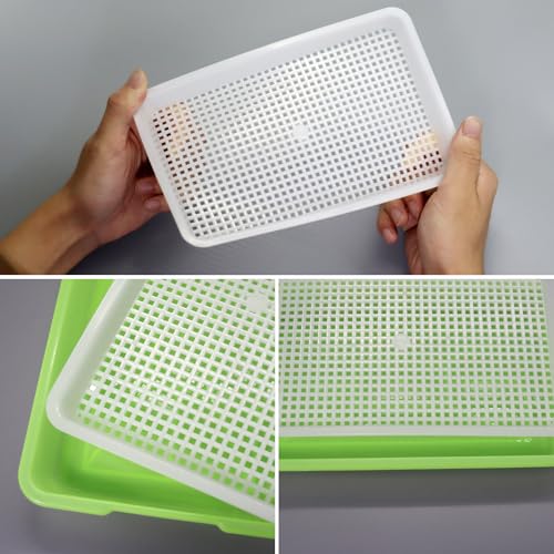 Kresse Anzuchtschalen Keimschalen für Sprossen Microgreens Anzuchtschale Keimschale Sprossenschale Microgreen Anzuchtset Kressesieb Starter Set Anzucht Sprouting Micro Greens Samen Keimsprossenbox