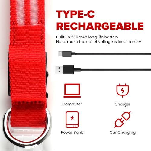Feycig Leuchthalsband Hund USB Aufladbar - LED Hundehalsband Leuchtend Wasserdicht Leuchtendes Hunde Halsband Einstellbare für Kleine Mittlere Große Hunde, 3 Modi