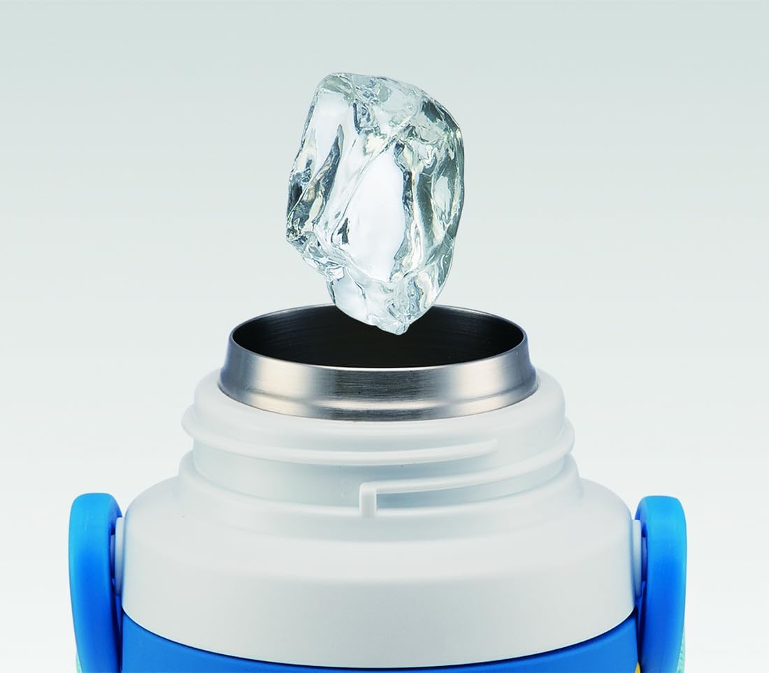 Skater SSPV4 Stainless Steel Children's Water Bottle, 12.8 fl oz (380 ml), Drinking Straw, 3D Plarail, Blue