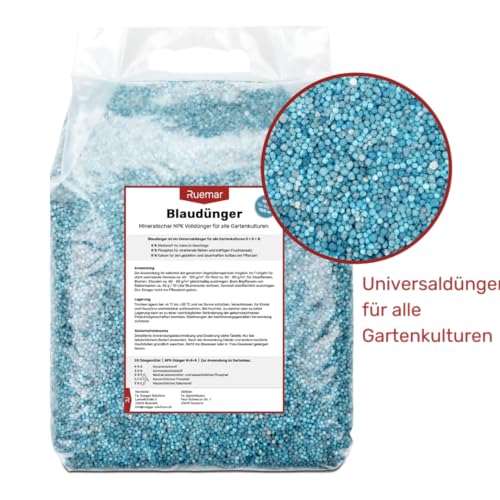 drachenbaum dünger Drachenbaum Dracaena in gärtnerischer Qualität kaufen main image 1
