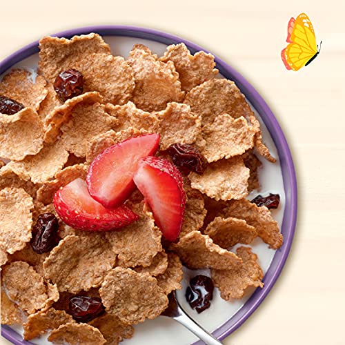Organic Raisin Bran Cereal 12 Ounces (Case Of 10) #TOP21