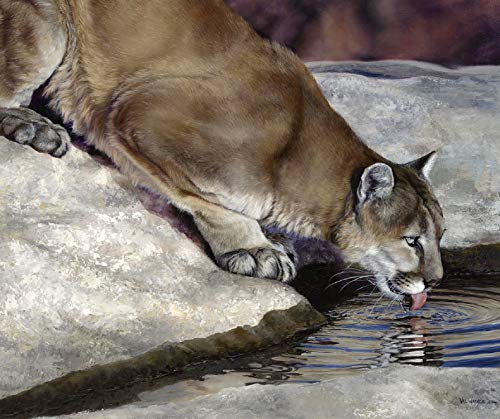 Cougar Panel from The Wild and Playful Collection - Digital Panel - Penny Rose Fabrics 100% Cotton Quilt Fabric PD7822-COUGAR 35" x 42"