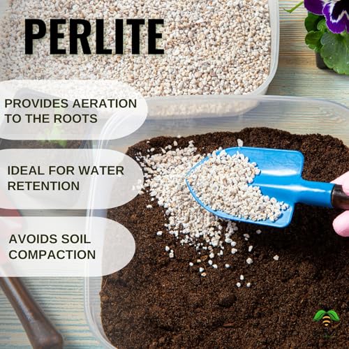 Image of Perlite for Plants (1KG), Hydroponics & Horticulture Terrace Gardening, Essential Soil Conditioner, for Indoor, Outdoor Plants (1 Kilogram)