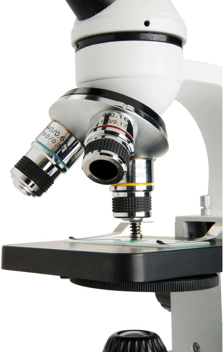 Celestron – Celestron Labs – Monocular Head Compound Microscope – 40-1000x Magnification – Adjustable Mechanical Stage – Includes 2 Eyepieces and 10 Prepared Slides
