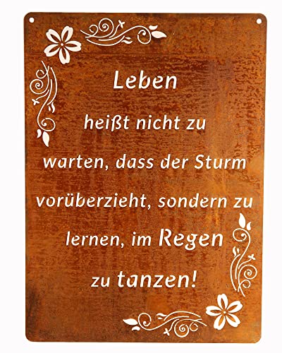 Panneau en métal rouillé Leben heißt nicht zu plaque signalétique ornementale