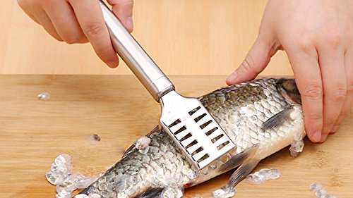 Preisvergleich Produktbild Hahuha Küchenschäler, Edelstahl Fischschuppenentferner Reiniger Scaler Scraper Küchenschälwerkzeug, Küche Esszimmer & Bar