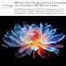 LG Smart TV 165 cm (65 Zoll) QNED EVO MiniLED 4K UHD (2025) – Prozessor α8 AI Gen2, Dolby Vision & Atmos, VRR 144Hz, WebOS 25, AMD FreeSync, Magic Remote, WiFi 6, Bluetooth 5.3