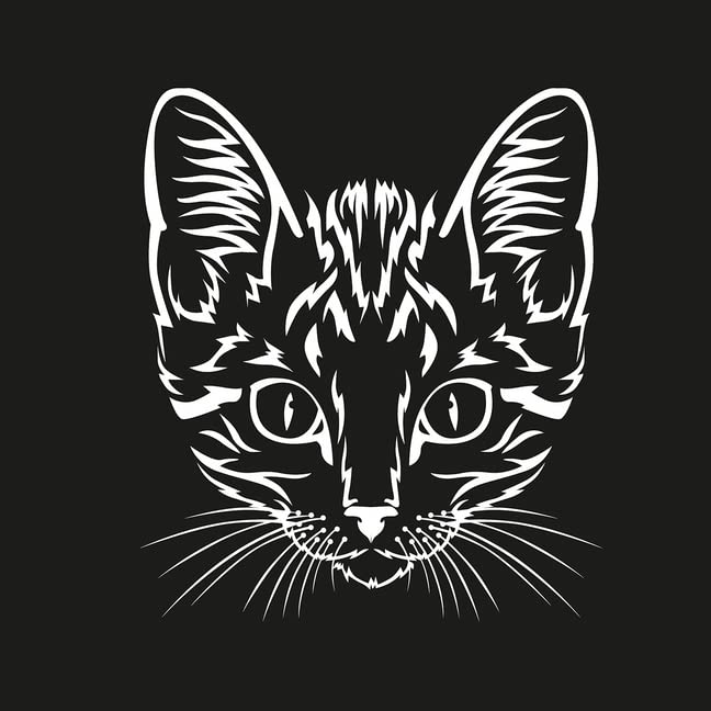 Black Premium. Katzen. Ausmalen, Aufhängen, Verschenken.: Ausmalen, Aufhängen, Verschenken.