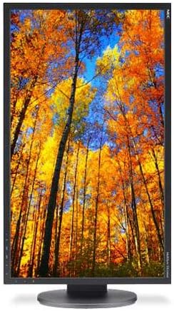 NEC EA224WMI-BK 21.5-Inch Screen LED-Lit Monitor