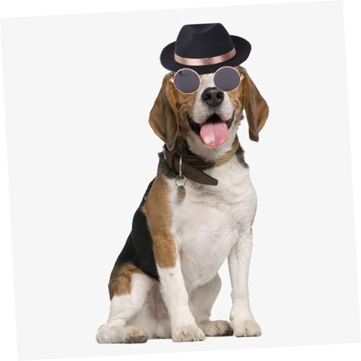 SUPVOX 5 Ensembles Chapeau d'halloween Accessoires D'habillage pour Animaux De Compagnie Bandana pour Chien Accessoires d'halloween Lunettes De Chien Casquette pour Polyester