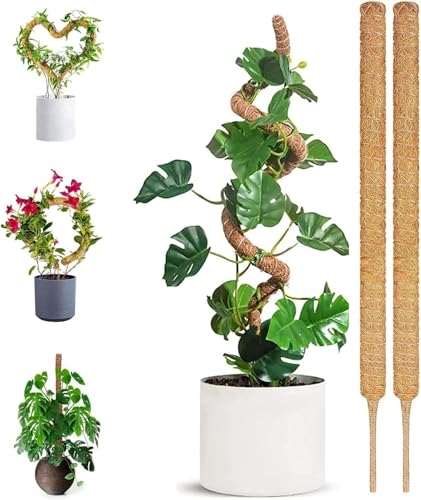 u A NC~O|[ Xex 120 Z` X|[ wSx Ȃ\ DIY ϗtA 鐫 Nv tBfh |gX S̖ | T|[g  ό` RRibc@ I[KjbN ^ ^ A d