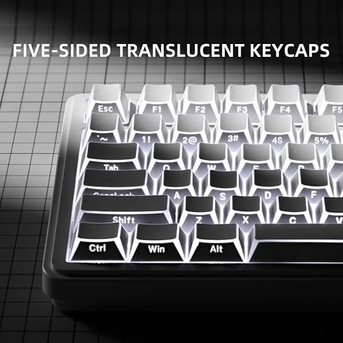 Image of XVX White Shine Through Keycaps, PBT Keyboard Keycaps Cherry Profile, Custom Side Printed Keycap Sets Suitable for 60% 65% 75% 80% 100% Mechanical Keyboard