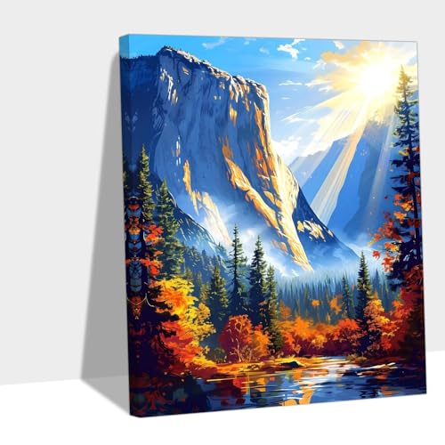 Gi 2025 Paint by Numbers ؑlSҊȒP| DIY Lbgz[ ItBXv[g 90x120cm Y#B351