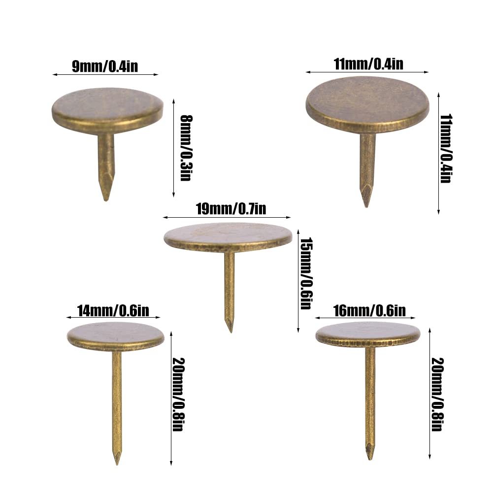 Circle Y Glitters in Motion Wither Strap Brown