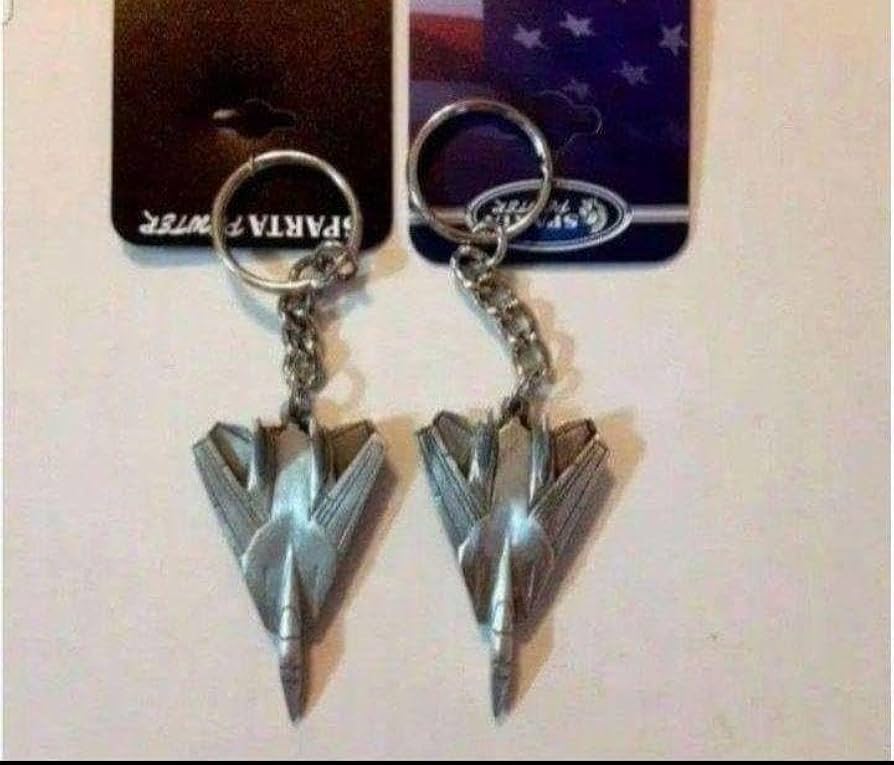 Amazon.co.jp: 米海軍トップガンのアメリカ製F-14トムキャット Amazon.co.jp: 米海軍トップガンのアメリカ製F-14トムキャット