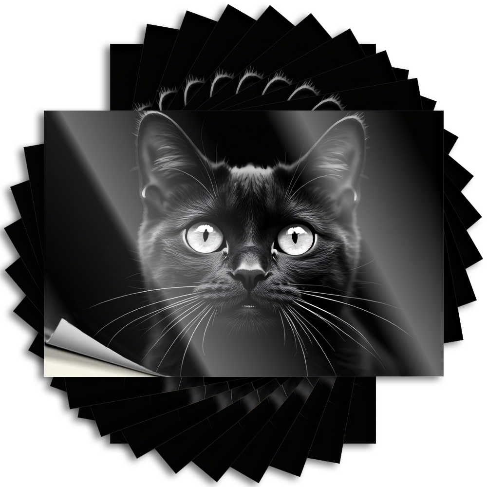 Abipuir Car Stickers Black Cat with Shiny Eyes 10 Car Stickers and Sign Bars for Home Decoration (6 x 9 cm)
