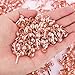 Hotop 500 Pcs Brads for Paper Crafts Metal Round Brass Paper Fasteners for Craft Art Crafting School DIY Supplies(0.3 x 0.6 Inch,Rose Gold)
