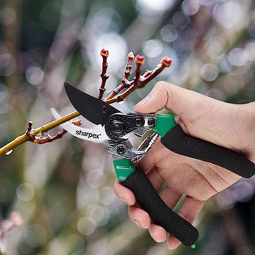 Sharpex Heavy Duty Pruning Shears Bypass Secateurs For Garden | Hand Prunning For Home Gardening Scissors, Pruning Branch Cutter, Tree Trimmers | SK5 Carbon Steel With Teflon Coating Sharp Blade