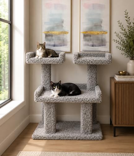 Árbol para Gatos Grandes y Maine Coon – Torre Alfombrada Deluxe miniatura 1