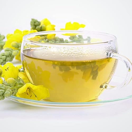 Miniatura 7 de Semillas de gordolobo 200 grandes semillas de gordolobo para plantar en el hogar, sin OMG, semillas orgánicas de verbascum thapsus tolerantes a la