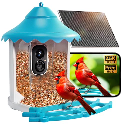 CINMOORE No-Monthly-Fees Solar Bird Feeder w/ 4MP Camera, Free AI Birds Species Identification, 2.5K Smart Bird House with Cam, Instant Arrival Alerts, Squirrel-Proof, Ideal X'Mas Gift