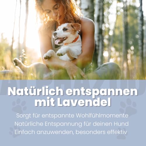 alphazoo Lavellness Fellspray für Hunde 250 ml – mit Lavendelöl, Aloe Vera, Jojobaöl & Sheabutter. Pflegt Fell & Haut, verleiht Glanz & Geschmeidigkeit. Sanfte Fellpflege für leichte Kämmbarkeit.