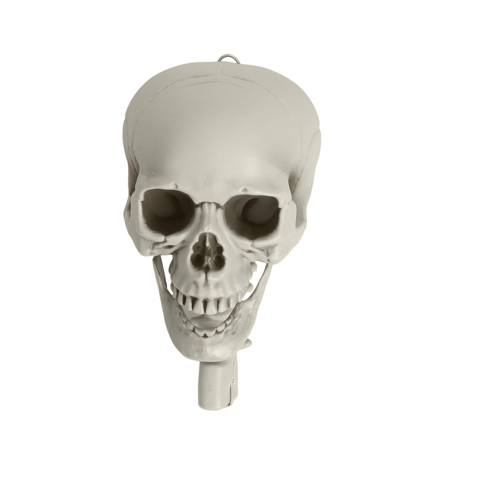Scheletro a grandezza naturale, 1,6 m, scheletro di Halloween, a grandezza naturale, con articolazioni regolabili, scheletro in plastica per decorazioni di Halloween (bianco)