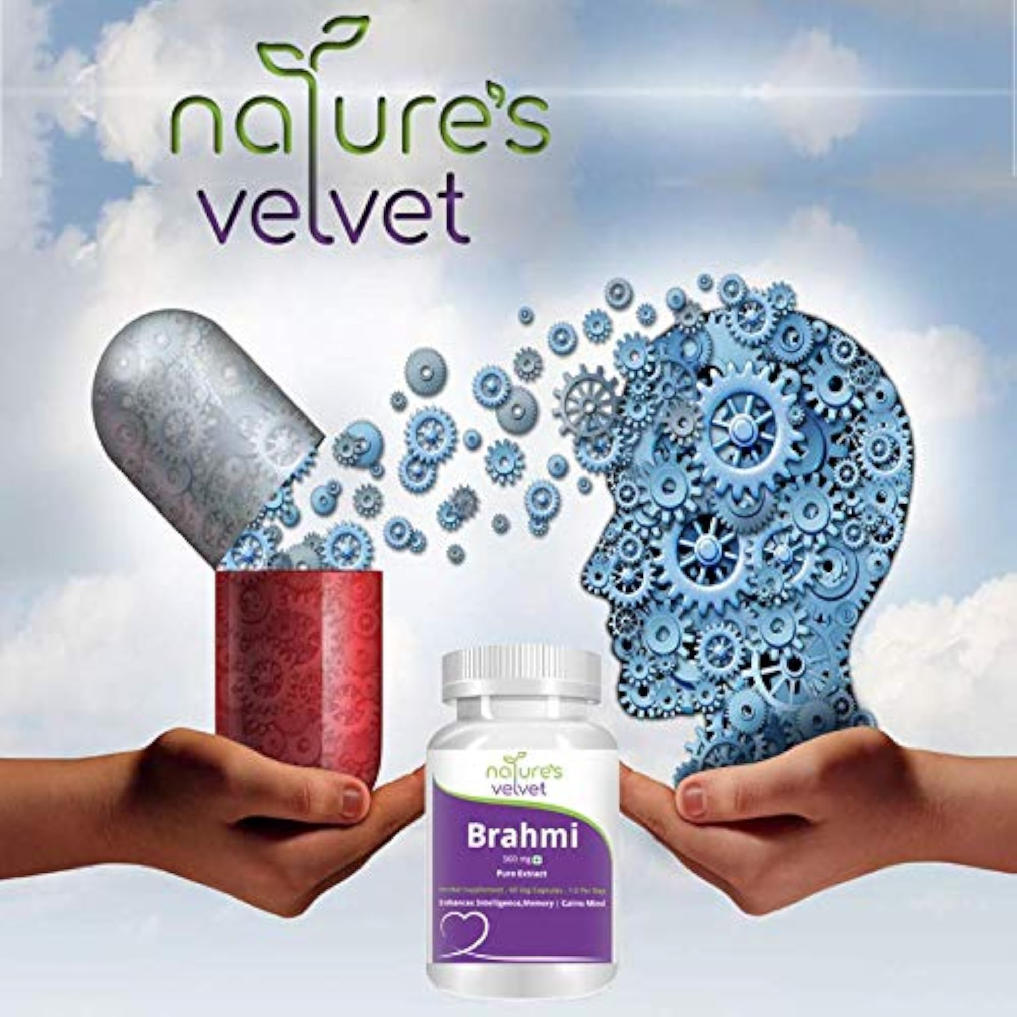 Brahmi Pure Extract, 500mg, 60 Veg Capsules