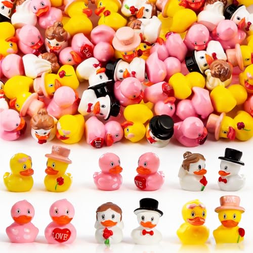 Exasinine 60 Pcs Valentine Ducks Mini Resin Duck Valentines Day Mini Ducks Tiny Ducks for Valentine Decor Home Tabletop Micro Landscape Vase Cake Birthday