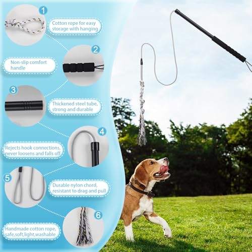 Flirt Pole Für Welpen Hunde,Interaktive Jagd und Zerrspielzeug Im Freien Hundespielzeug,Reizangel Chase Spielzeug mit Seil,Ianglebig Stick Pole für Hunde im Freien Agilität Übung & Hundetraining