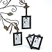 Set of 4 Hanging Frames