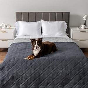   PetAmi-Waterproof-Couch-Cover-for-Dogs-Waterproof-Pet-Blanket-Reversible-Furniture-Cover-Sofa-Protector-for-Pet-Cat-Bed-Washable-Waterproof-Blanket-Dog-Cover-for-Couch-Seat-102x82-Gray