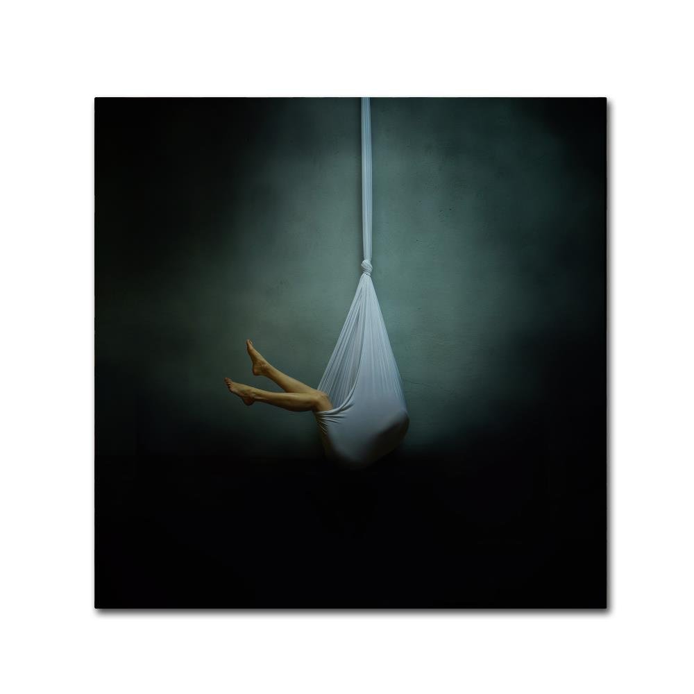 Swing by Yaroslav Vasiliev Apostol, 18x18-Inch Canvas Wall Art