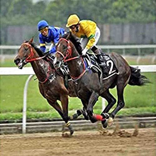 Hoeftang, Hoefijzertrimmer, Trimschaar Nagelknippers Hoeftrimmers, Paarden Hoeftrimmergereedschap Paarden Metaalschaar Hoefsmeden. Hoefnippelsnijder Duurzaam en handig - Afbeelding 8