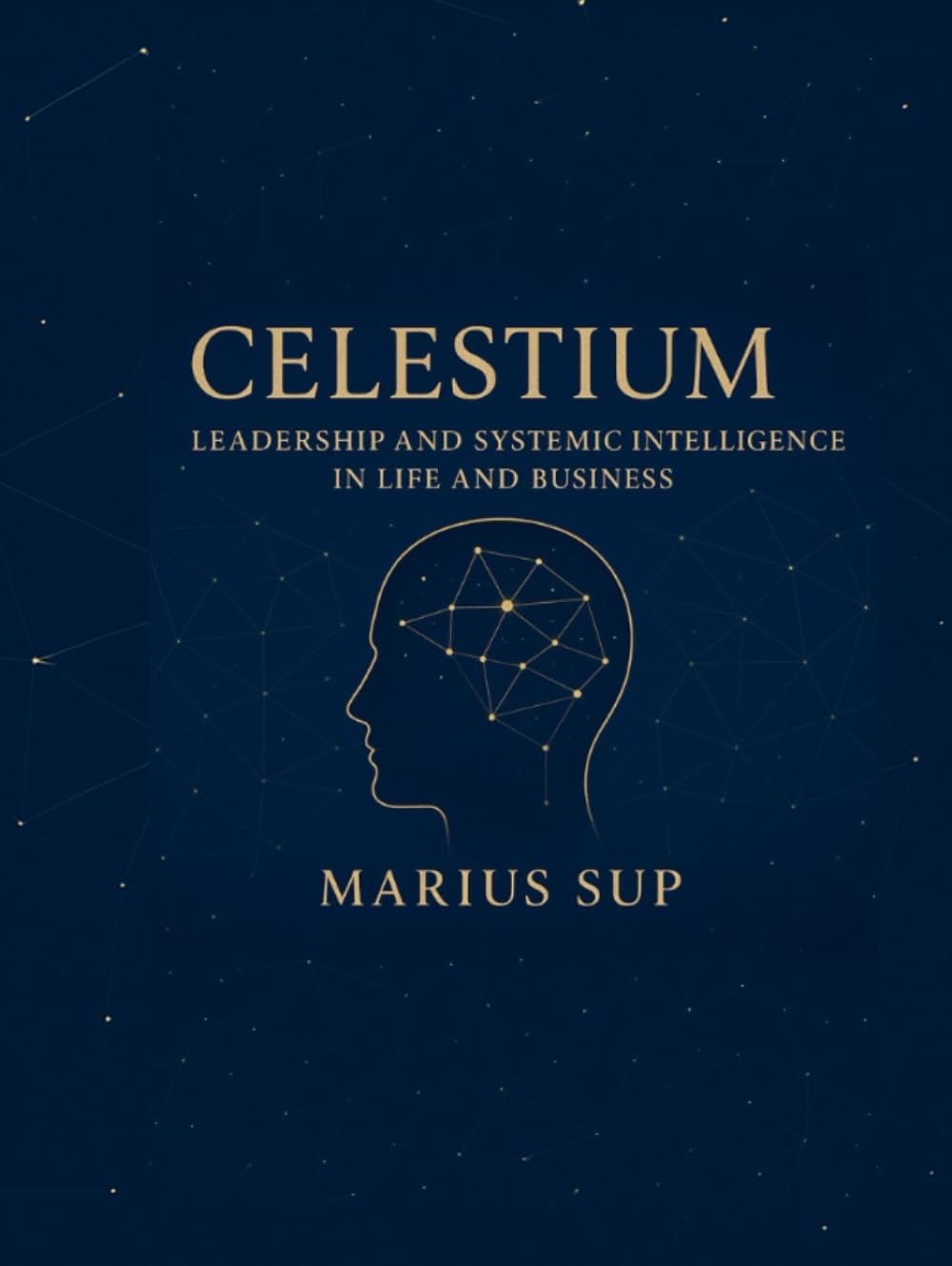 CELESTIUM - Systemic Thinking- Organizational & Business Constellations and Leadership: Thinking in Systems
