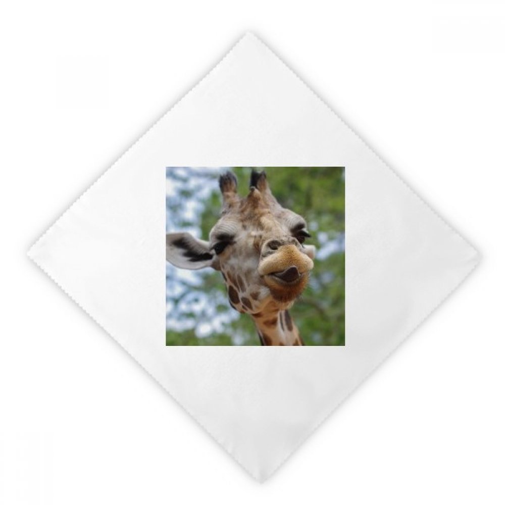 Servilletas de tela reutilizables lavables blancas con diseño de animales