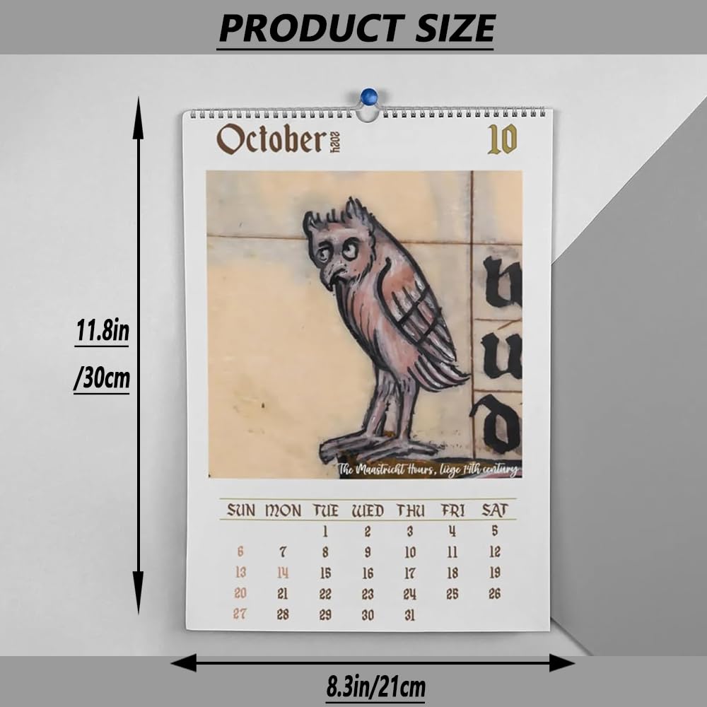 amazon-com-logfaadcoi-2024-weird-medieval-owl-calendar-funny-owl-wall-calendar-monthly-hanging-thick-paper-calendars-giftable-calendars-for-office-home