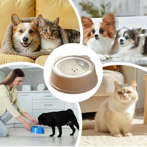 Distributeur flottant pour eau avec écuelle anti-débordement chats