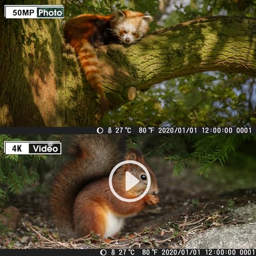 FunKind Wildkamera 4K 50MP, Wildtierkamera mit Nachtsicht Bewegungsmelder Weitwinkel 120°, 850nm IR LEDs Nachtsichtkamera, Nachtsicht bis zu 25 m, Jagdkamera mit 32 GB SD, Wasserdicht IP65