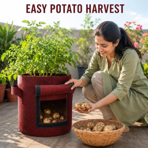 Image of Casa De Amor 15x12 Inch Potato Grow Bags for Root Vegetables, Geo Fabric 400 GSM Plant Bag (Maroon Color, Pack of 2)