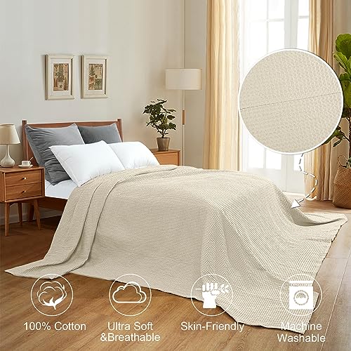 Image of PHF 100 Cotton Waffle Big Family Oversized Blanket, 120 inch X 120 inch Linen /Stone