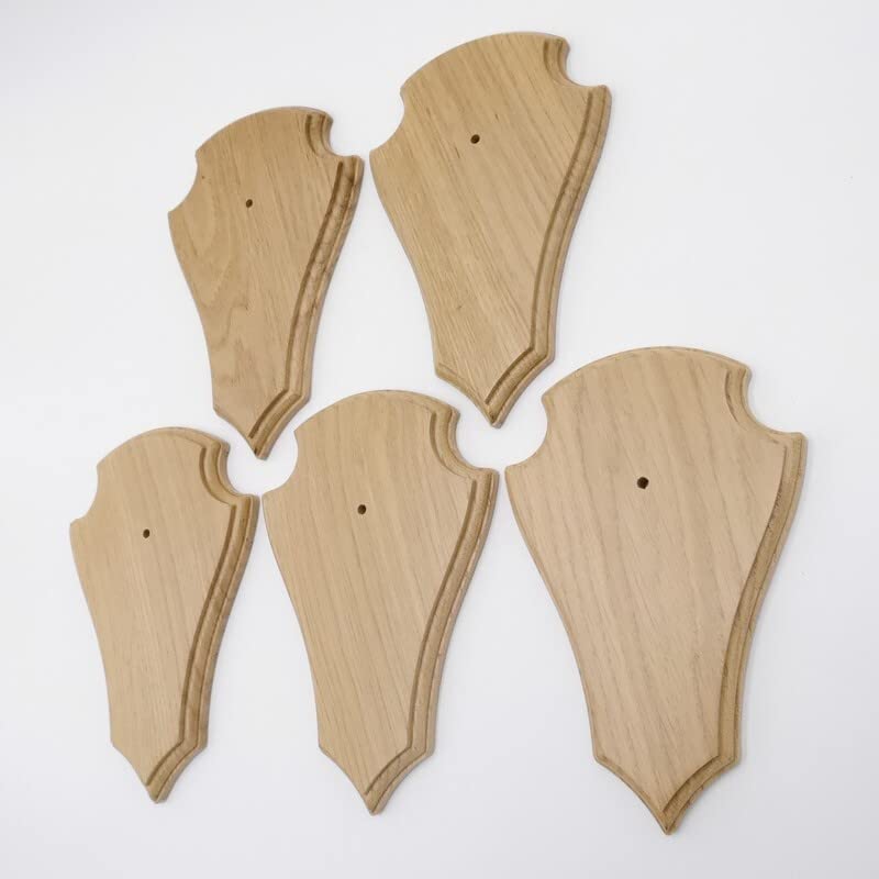 REH - Placas de trofeos (5 unidades, 21 x 13 cm, en punta, tamaño grande, roble claro, con 1 compartimento de pino)