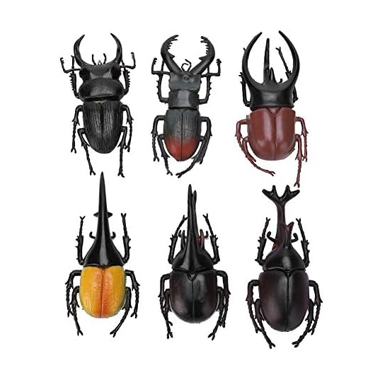Fendysey 2 Halloween-rekvisita, skalbagge-insektsmodell, för halloween dag hem (6 stora svarta skalbaggar)