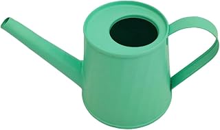 Metal Watering Can, 8.4 Oz/250 Ml Stylish Metal Rustproof Indoor Watering Cans for House Plants with Long Spout,Small Modern Durable Water Can for Plants for Home Succulents Bonsai Flower