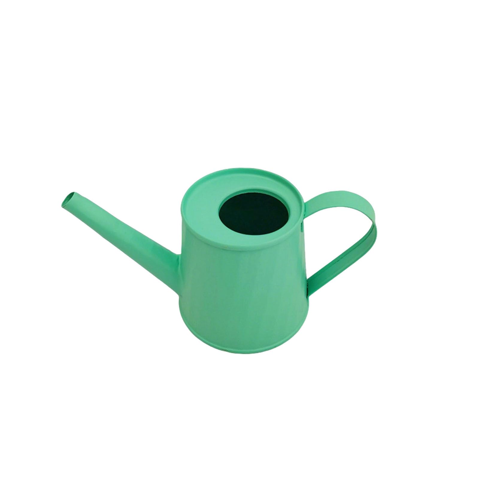 Plant Watering Can 8.4 oz/250 ml, Modern Stylish Decorative Indoor Watering Cans for House Plants with Long Spout,Durable Rustproof Small Water Can for Plants for Outdoor Bonsai Garden Succulents (D)