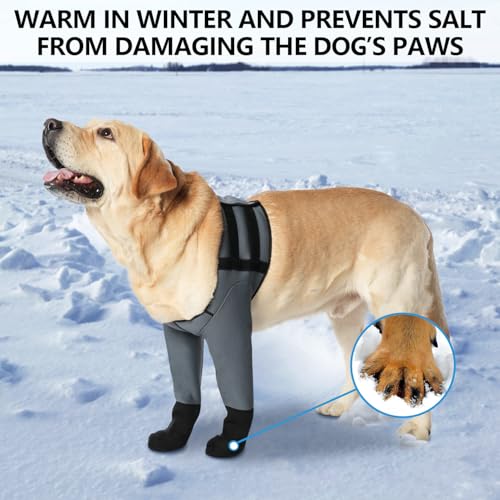 yrenoer Dog Socks & Boots - Waterproof Anti-Licking Paw Protectors with Non-Slip Bottom, Post-Surgery Recovery Sleeves for Wound Protection (Grey, 2XL) by yrenoer - Image 8