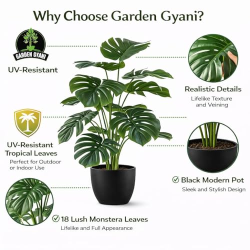 Image of Artificial Monstera Plant with Black Pot - 26 Inch (66 cm) Tall Faux Tropical Decorative Plant for Home, Office, Balcony & Living Room Decor